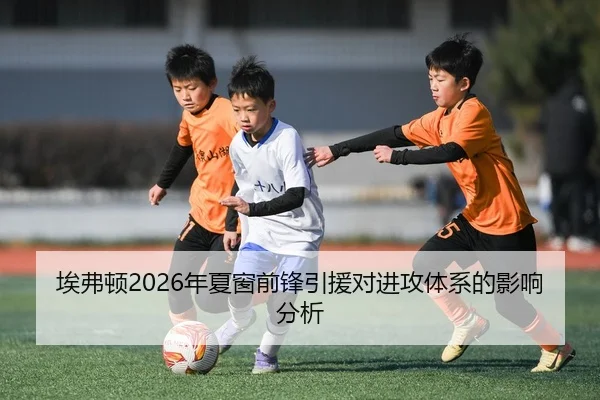 埃弗顿2026年夏窗前锋引援对进攻体系的影响分析